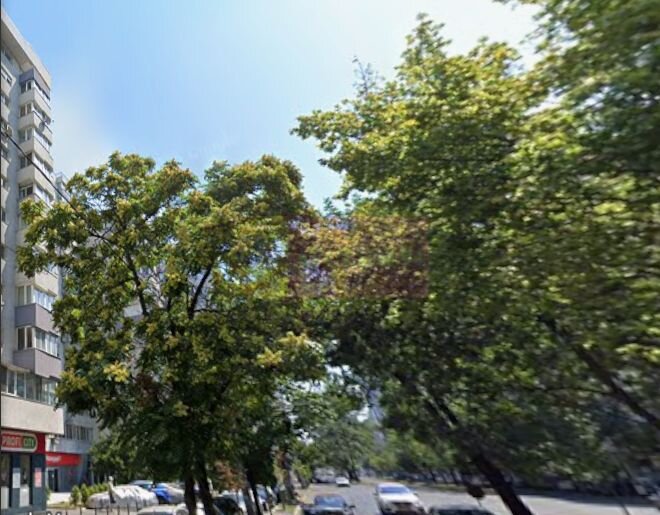 Spatiu comercial la inchiriere pe Titulescu